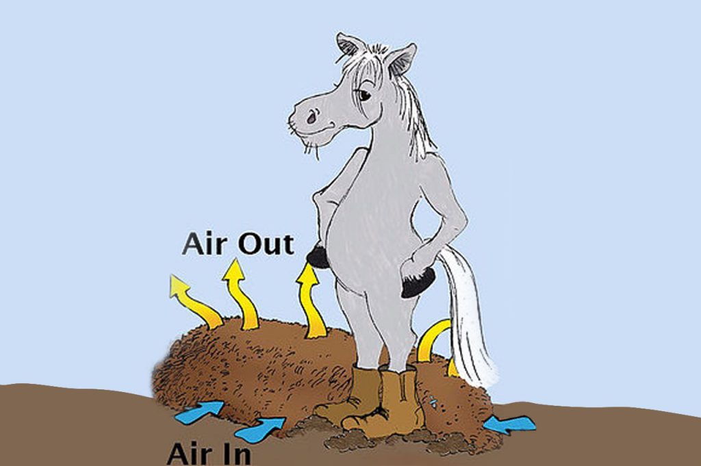 So-Much-POOP,-So-Little-Room-–-How-to-Manage-Manure-to-Decrease-your-Horse’s-Parasite-Exposure