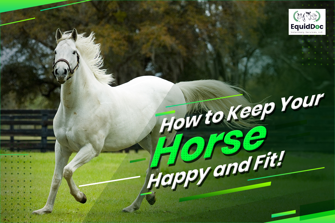 fitness indicators for your horse