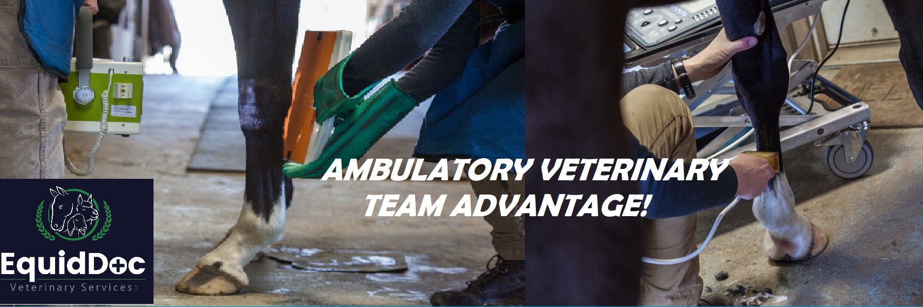 Ambulatory Veterinary Service