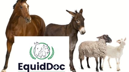 EquidDoc Veterinary Professionals