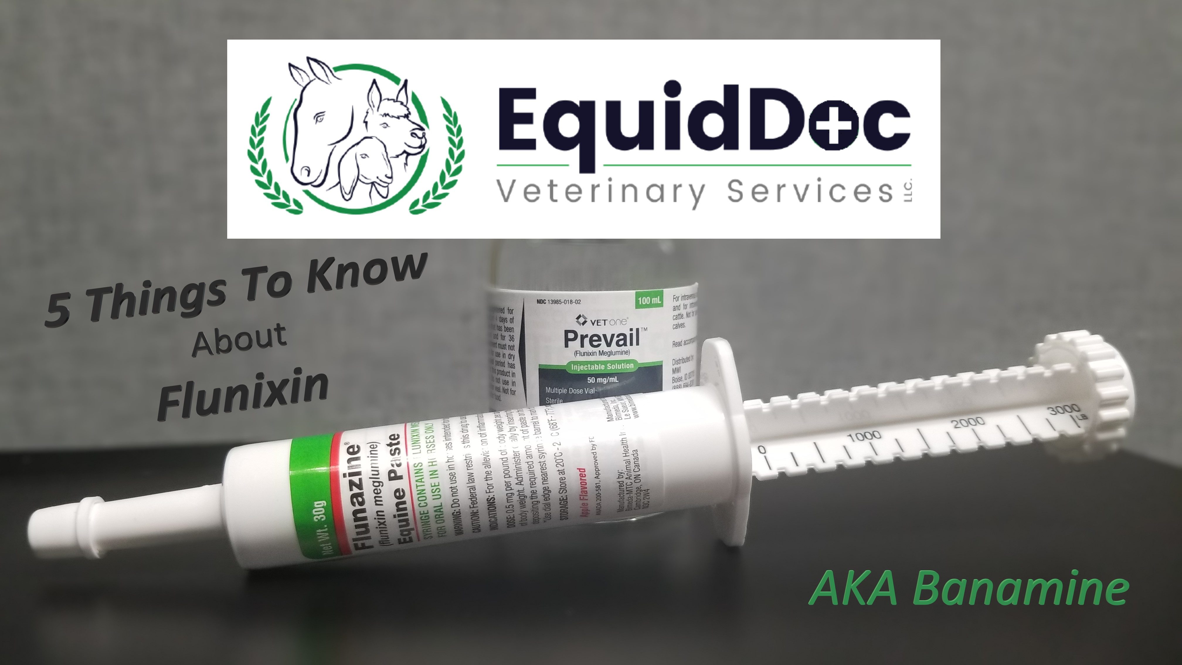 Five Things To Know About Flunixin Banamine EquidDoc Veterinarians