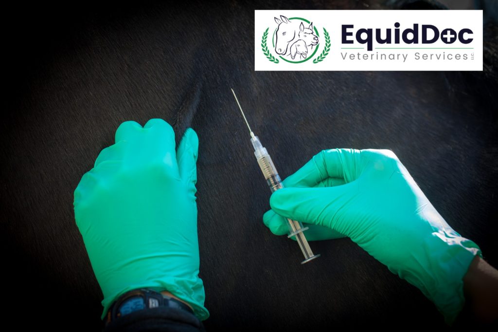 spencer veterinary services