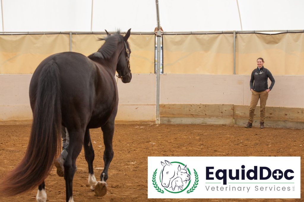 veterinarians