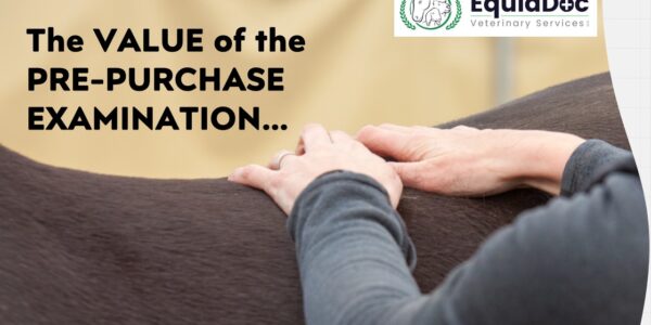 The Value of the Pre-Purchase Examination