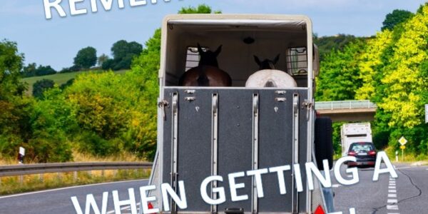 10 Things To Remember When Getting A New Horse