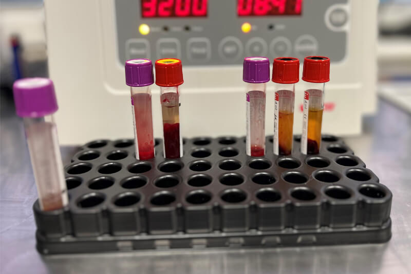 EquidDoc Vet Laboratory Diagnostics